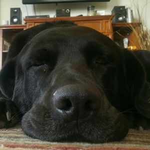 Meet your Posher, Brandy